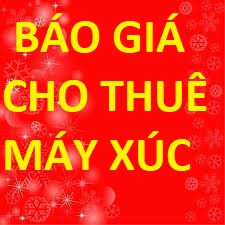 Báo Giá Cho Thuê Máy Xúc - Máy Xúc Trường Hoa